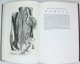 BIDLOO Govaerd [BIDLOO Godefridi] [REPRINT] "Anatomia Humani Corporis"