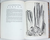 BIDLOO Govaerd [BIDLOO Godefridi] [REPRINT] "Anatomia Humani Corporis"