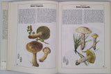 BECKER Georges "Champignons"