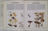 BECKER Georges "Champignons"