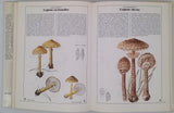 BECKER Georges "Champignons"