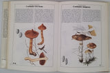 BECKER Georges "Champignons"