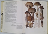 SCHLITTLER Jakob "Champignons, 2 tomes : tome 1. Les champignons à lamelles, tome 2. Les champignons sans lamelles"