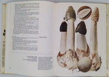 SCHLITTLER Jakob "Champignons, 2 tomes : tome 1. Les champignons à lamelles, tome 2. Les champignons sans lamelles"