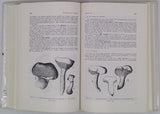 HEIM Roger "Champignons d'Europe, Généralités - Ascomycètes - Basidiomycètes"