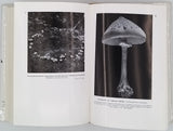 HEIM Roger "Champignons d'Europe, Généralités - Ascomycètes - Basidiomycètes"