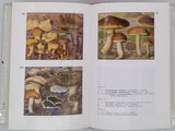 HEIM Roger "Champignons d'Europe, Généralités - Ascomycètes - Basidiomycètes"