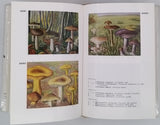 HEIM Roger "Champignons d'Europe, Généralités - Ascomycètes - Basidiomycètes"