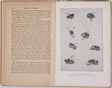 FABRE Jean-Henri  "Mœurs des Insectes - Morceaux choisis. Extraits des Souvenirs Entomologiques"