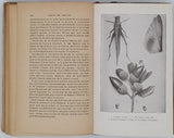 FABRE Jean-Henri  "Mœurs des Insectes - Morceaux choisis. Extraits des Souvenirs Entomologiques"