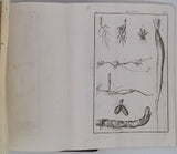 BULLIARD Pierre "Dictionnaire élémentaire de Botanique, revu et entièrement refondu par Louis-Claude RICHARD, Professeur de Botanique à l'Ecole de Médecine"