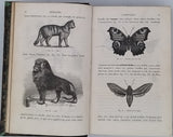 BERT Paul, BLANCHARD Raphaël "Eléments de Zoologie"