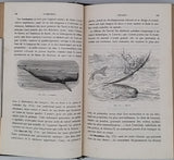 BERT Paul, BLANCHARD Raphaël "Eléments de Zoologie"