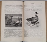 BERT Paul, BLANCHARD Raphaël "Eléments de Zoologie"