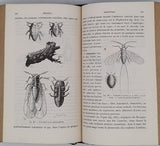 BERT Paul, BLANCHARD Raphaël "Eléments de Zoologie"