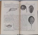 BERT Paul, BLANCHARD Raphaël "Eléments de Zoologie"