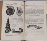 BERT Paul, BLANCHARD Raphaël "Eléments de Zoologie"