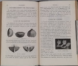 BERT Paul, BLANCHARD Raphaël "Eléments de Zoologie"