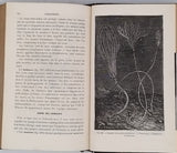 BERT Paul, BLANCHARD Raphaël "Eléments de Zoologie"