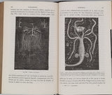 BERT Paul, BLANCHARD Raphaël "Eléments de Zoologie"