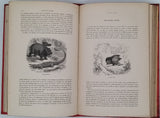 BUFFON Georges-Louis de, LACÉPÈDE Bernard de "Histoire naturelle extraite de Buffon et de Lacépède - Quadrupèdes, Oiseaux, Serpents, Poissons et Cétacés"