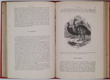 BUFFON Georges-Louis de, LACÉPÈDE Bernard de "Histoire naturelle extraite de Buffon et de Lacépède - Quadrupèdes, Oiseaux, Serpents, Poissons et Cétacés"