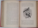 BUFFON Georges-Louis de, LACÉPÈDE Bernard de "Histoire naturelle extraite de Buffon et de Lacépède - Quadrupèdes, Oiseaux, Serpents, Poissons et Cétacés"