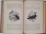 BUFFON Georges-Louis de, LACÉPÈDE Bernard de "Histoire naturelle extraite de Buffon et de Lacépède - Quadrupèdes, Oiseaux, Serpents, Poissons et Cétacés"