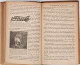 BRUNO G. "Le Tour de la France par Deux Enfants - Cours moyen - Devoir et Patrie"