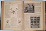 [Collectif - Recueil de journaux reliés] "Journal des Voyages et des aventures de terre et de mer" 2 Volumes année complète 1903