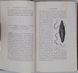 MANGIN Arthur "Nos ennemis et nos alliés - Etudes zoologiques"