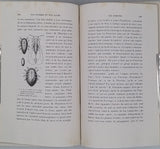 MANGIN Arthur "Nos ennemis et nos alliés - Etudes zoologiques"