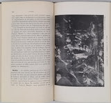 [Collectif] "Congrès Archéologique de France - LXXXVIe session tenue à Valence et Montélimar en 1923 par la Société française d'Archéologie"