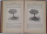 BOVIER-LAPIERRE Gaspard "L'Astronomie pour tous ou description méthodique des astres et des phénomènes célestes accompagnée de détails historiques et de considérations philosophiques"