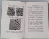 DAUX Auguste "Etudes préhistoriques - L'Industrie Humaine ses origines, ses premiers essais et ses légendes depuis les premiers temps jusqu'au déluge"