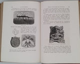 DAUX Auguste "Etudes préhistoriques - L'Industrie Humaine ses origines, ses premiers essais et ses légendes depuis les premiers temps jusqu'au déluge"