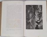 DAUX Auguste "Etudes préhistoriques - L'Industrie Humaine ses origines, ses premiers essais et ses légendes depuis les premiers temps jusqu'au déluge"