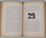 CADÉAC Célestin, MEUNIER Albin "Recherches expérimentales sur les essences. Contribution à l'étude de l'alcoolisme - Etude physiologique de l'eau d'arquebuse ou vulnéraire"