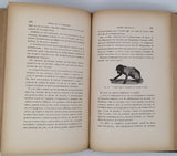 CADÉAC Célestin, MEUNIER Albin "Recherches expérimentales sur les essences. Contribution à l'étude de l'alcoolisme - Etude physiologique de l'eau d'arquebuse ou vulnéraire"