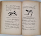 CADÉAC Célestin, MEUNIER Albin "Recherches expérimentales sur les essences. Contribution à l'étude de l'alcoolisme - Etude physiologique de l'eau d'arquebuse ou vulnéraire"