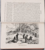 LESBAZEILLES Eugène "Les forêts"