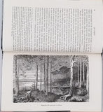 LESBAZEILLES Eugène "Les forêts"