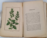 PELLETAN Jules (Docteur) "Le nouveau médecin des familles - Description raisonnée des maladies avec les moyens de les guérir suivi d'un formulaire indiquant la composition des médicaments"