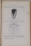 FLAMMARION Camille "LE MONDE AVANT LA CRÉATION DE L'HOMME - Origines de la terre - Origines de la vie - Origines de l'Humanité"