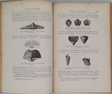 FLAMMARION Camille "LE MONDE AVANT LA CRÉATION DE L'HOMME - Origines de la terre - Origines de la vie - Origines de l'Humanité"