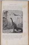 FLAMMARION Camille "LE MONDE AVANT LA CRÉATION DE L'HOMME - Origines de la terre - Origines de la vie - Origines de l'Humanité"