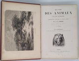 BREHM Alfred Edmund "LA VIE DES ANIMAUX ILLUSTRÉE DESCRIPTION POPULAIRE DU RÈGNE ANIMAL - LES MAMMIFÈRES CARACTÈRES, MOEURS, CHASSES, COMBATS, CAPTIVITÉ, DOMESTICITÉ, ACCLIMATATION, USAGES ET PRODUITS" TOME 1