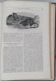 BREHM Alfred Edmund "LA VIE DES ANIMAUX ILLUSTRÉE DESCRIPTION POPULAIRE DU RÈGNE ANIMAL - LES MAMMIFÈRES CARACTÈRES, MOEURS, CHASSES, COMBATS, CAPTIVITÉ, DOMESTICITÉ, ACCLIMATATION, USAGES ET PRODUITS" TOME 1