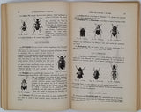 PANNEEL Henry "Le Collectionneur d'Insectes - Comment découvrir, conserver, étudier les Insectes"