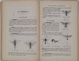 PANNEEL Henry "Le Collectionneur d'Insectes - Comment découvrir, conserver, étudier les Insectes"